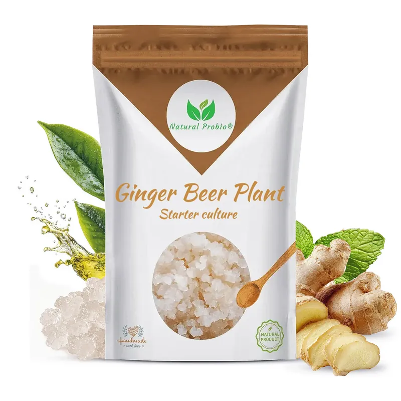 Pouch of live ginger beer plant from Natural Probio